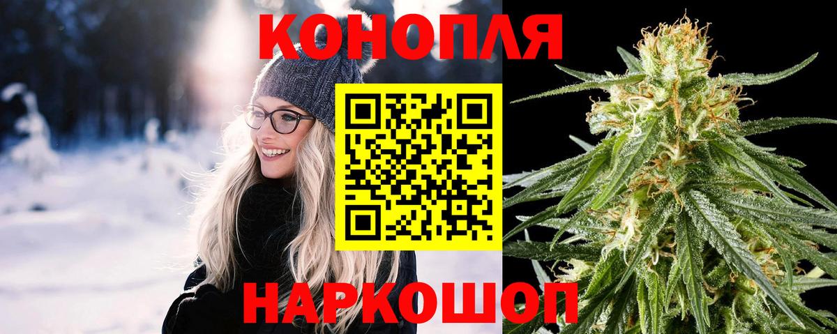 Каннабис конопля Изобильный